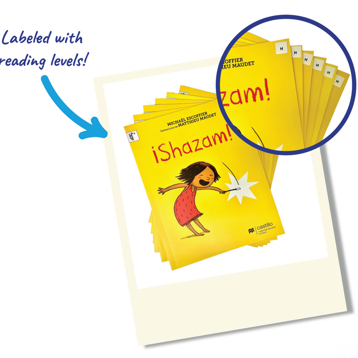 Guided Reading with Hexagramm Books