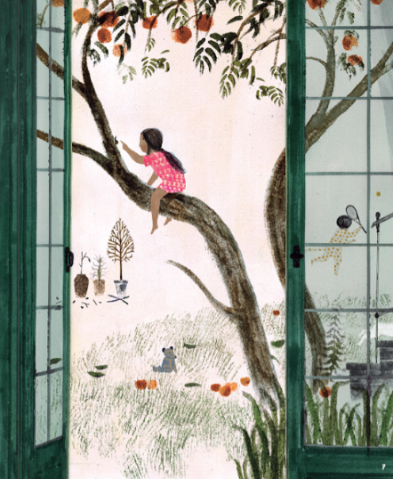 Balam, Lluvia y la casa (paperback)