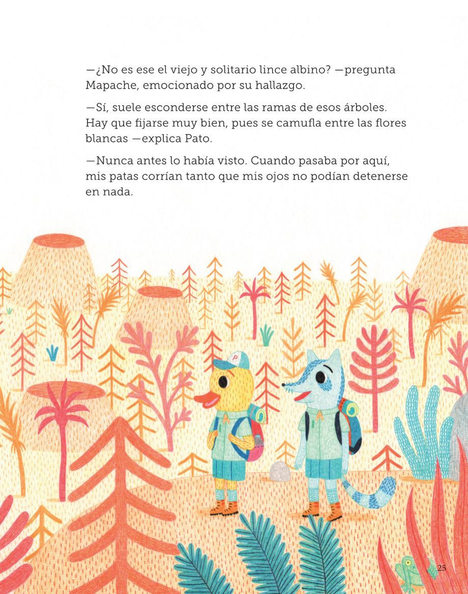 Mapache quiere ser el primero (paperback)