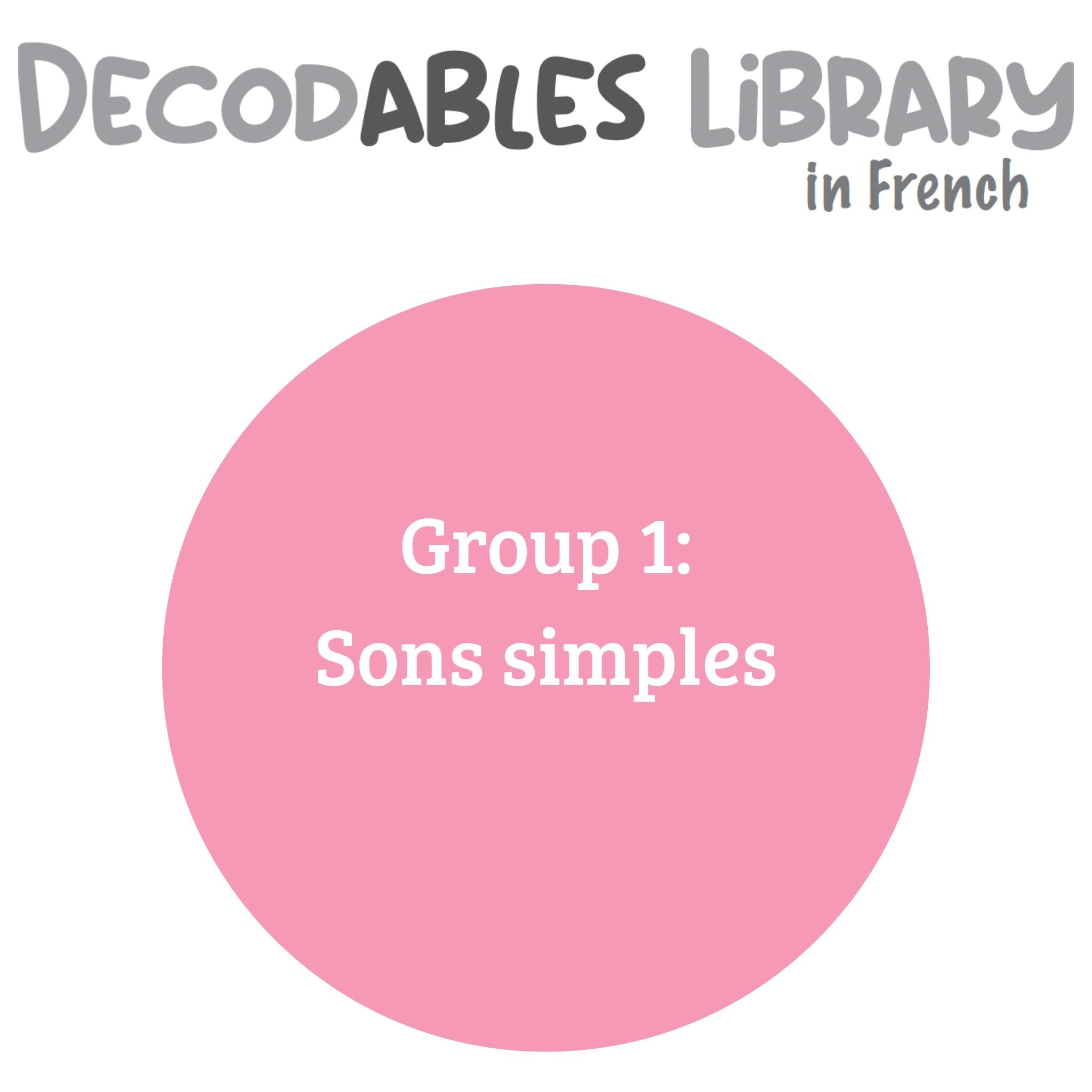 French Decodables Library - Group 1 - Sons simples (set of 40 titles)