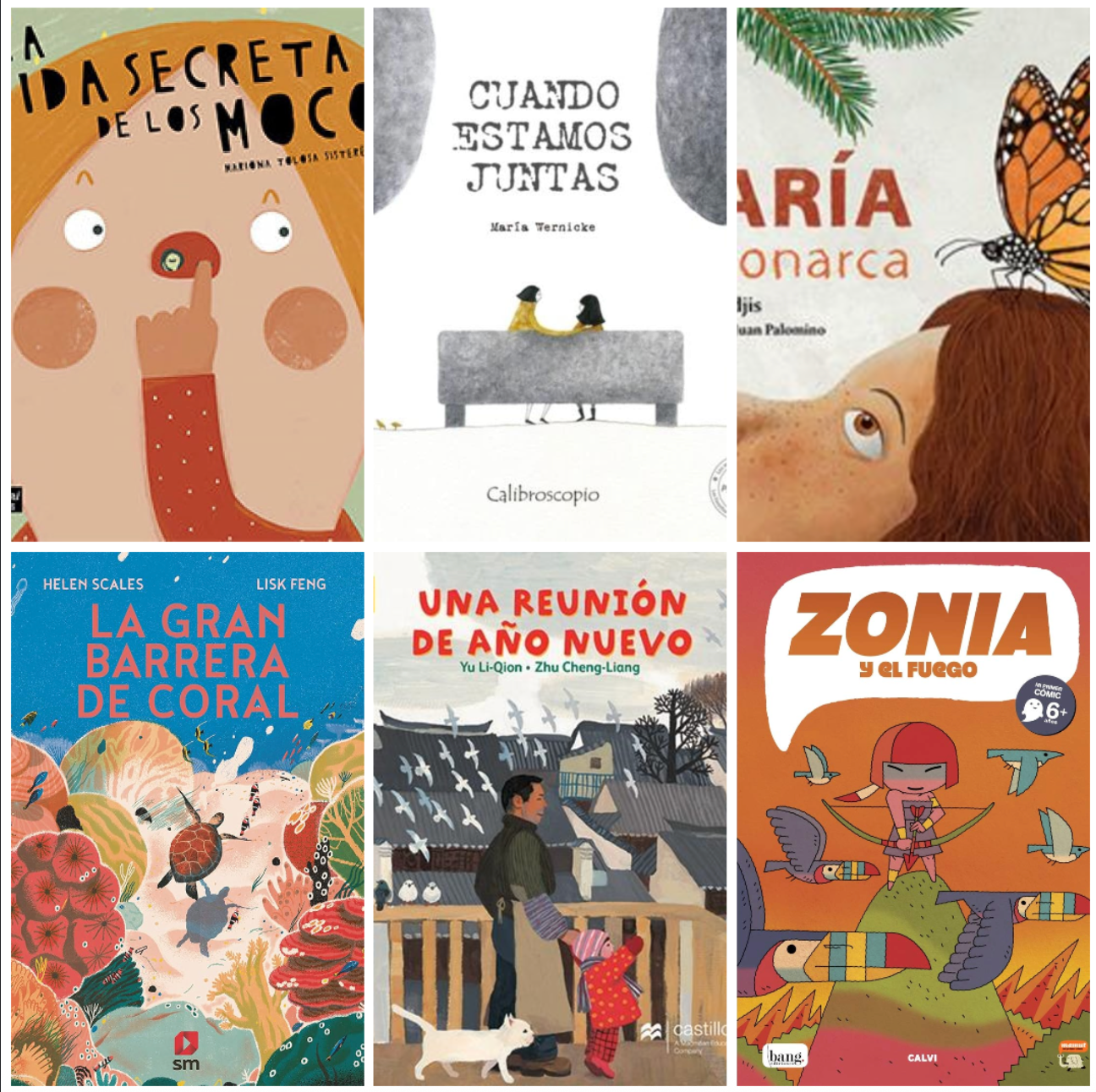 Spanish School Library - 5th Grade (set of 50 books)