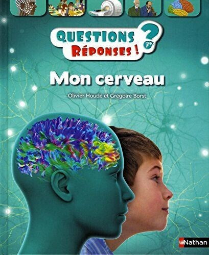 Mon cerveau - Questions/Réponses